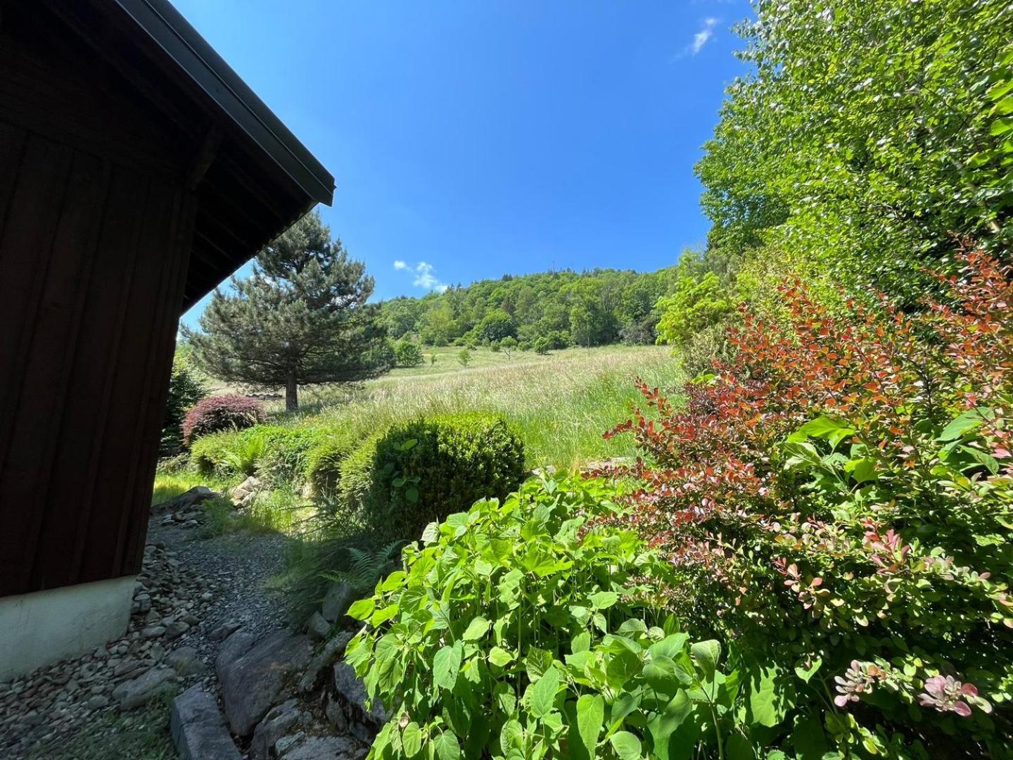 בוסאנג Chalet Bois Vue Panoramique : 2 Logements Et Sauna מראה חיצוני תמונה