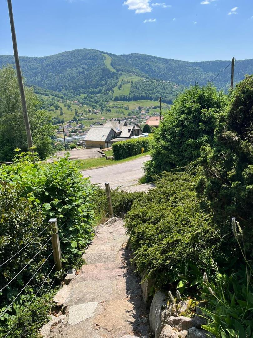 בוסאנג Chalet Bois Vue Panoramique : 2 Logements Et Sauna מראה חיצוני תמונה